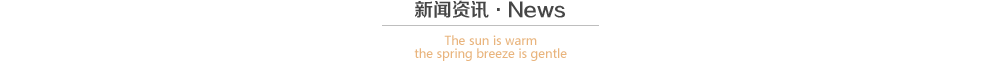 新闻资讯